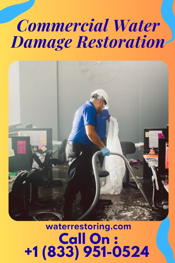 Commercial Water Damage Restoration in Dewey Beach, DE