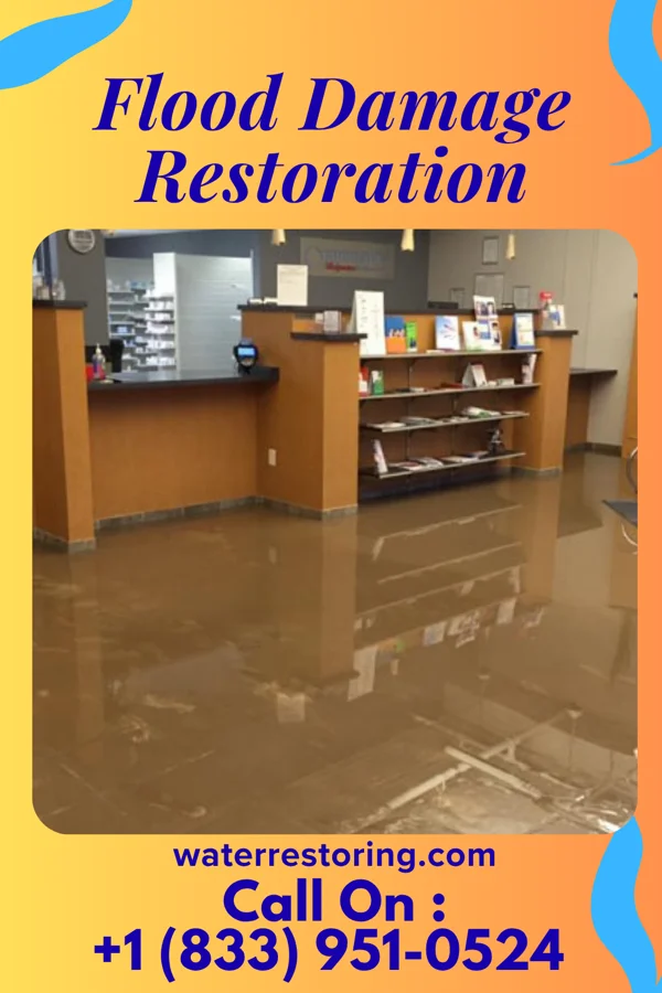 Flood Damage Restoration in Dewey Beach, DE