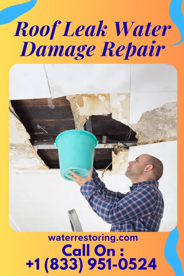 Roof Leak Water Damage Repair in Dewey Beach, DE
