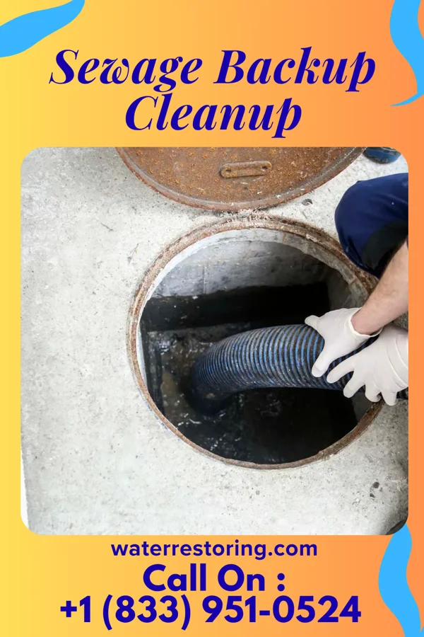 Sewage Backup Cleanup in Dewey Beach, DE