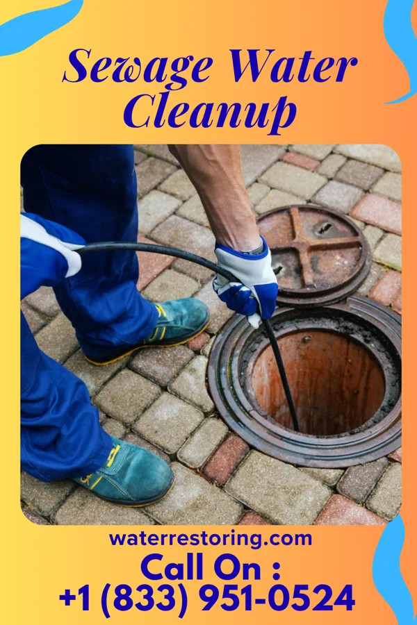 Sewage Water Cleanup in Dewey Beach, DE